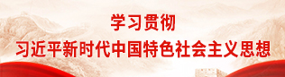 学习贯彻习近平新时代中国特色社会主义思想