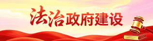 法治政府建设